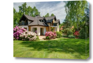 Картина Дом с лужайкой