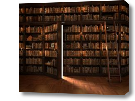 Картина Книжный шкаф