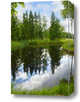 Картина Озеро в лесу