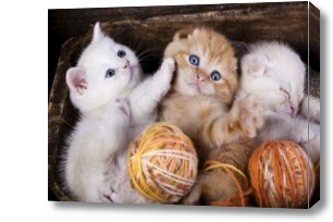 Картина котята